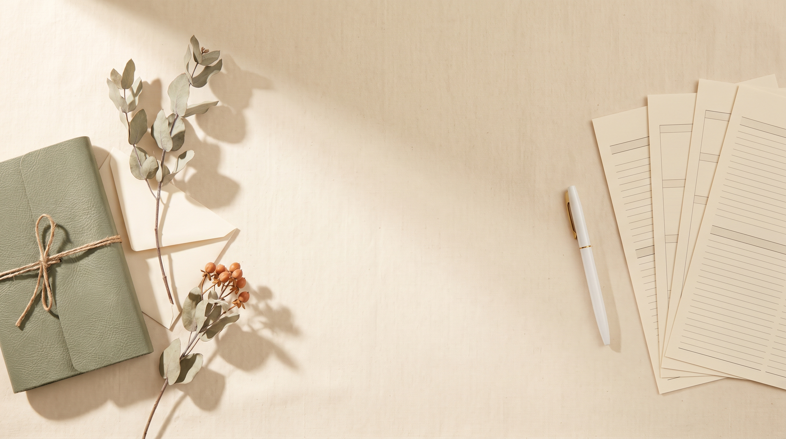 Mini Emergency Binder -- printable family records organizer