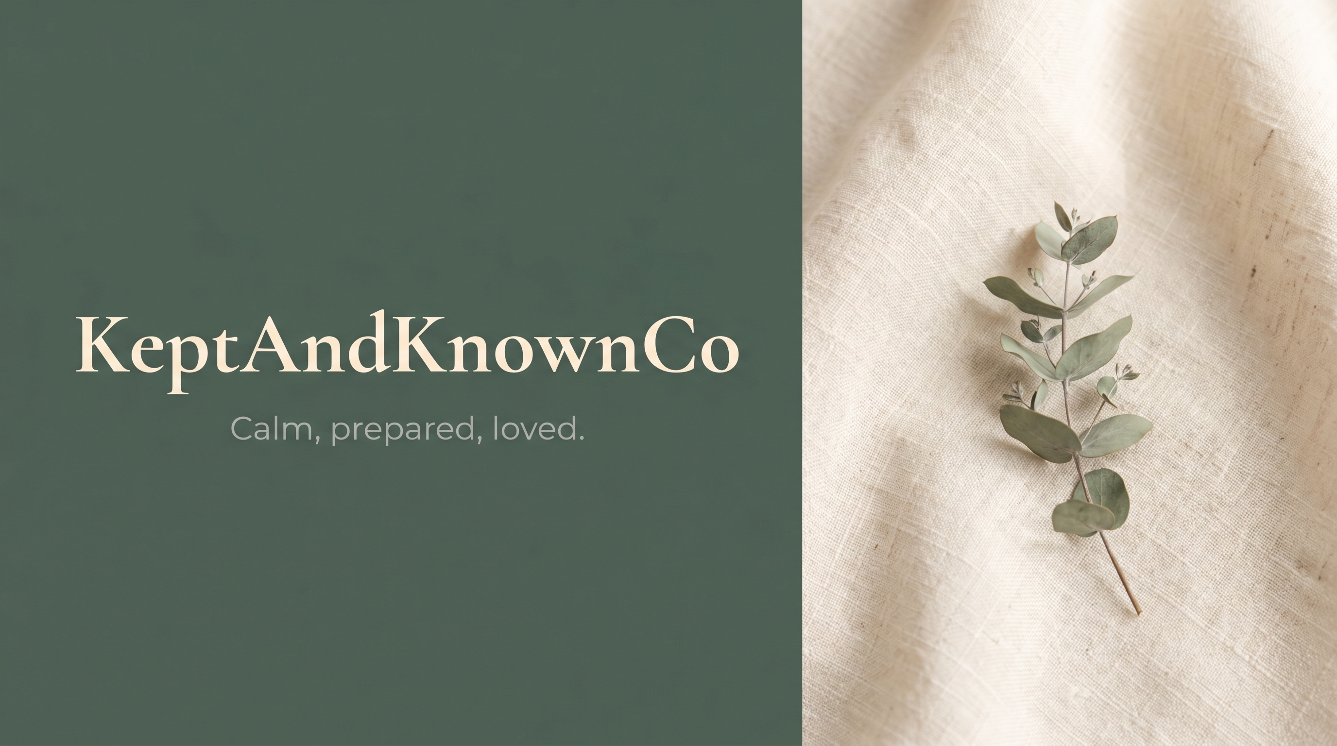 Mini Emergency Binder sample pages showing contact and medical information sections